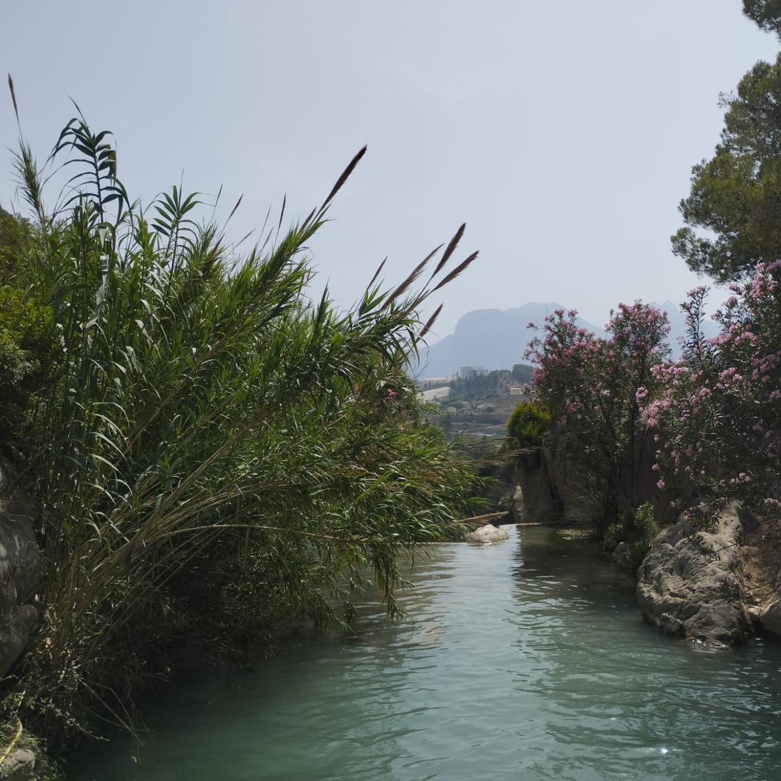 Paradis Entre Mer Et Montagne Dénia Eksteriør billede